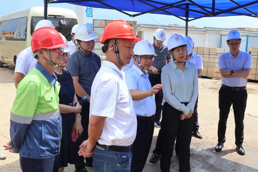 海南省副省長尹麗波赴星之海2萬噸氫氧化鋰項目現(xiàn)場調研1.jpg